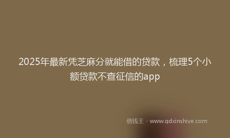 2025年最新凭芝麻分就能借的贷款，梳理5个小额贷款不查征信的app