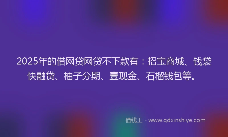 2025年的借网贷网贷不下款有：招宝商城、钱袋快融贷、柚子分期、壹现金、石榴钱包等。
