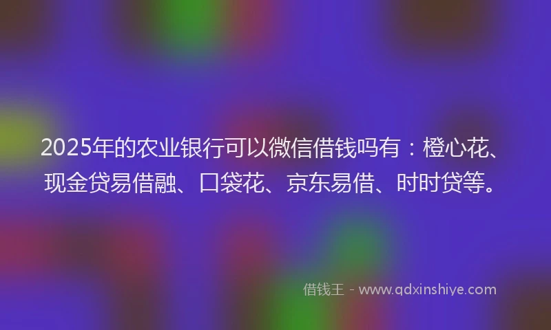2025年的农业银行可以微信借钱吗有：橙心花、现金贷易借融、口袋花、京东易借、时时贷等。