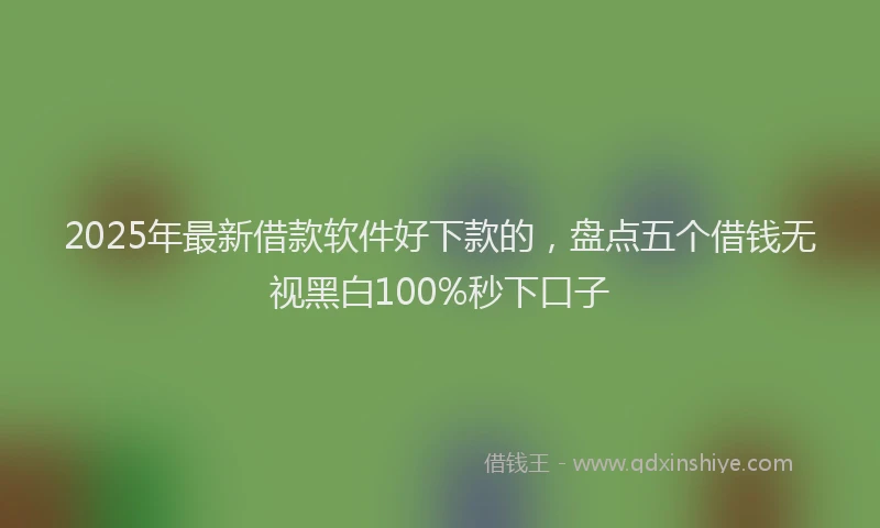 2025年最新借款软件好下款的，盘点五个借钱无视黑白100%秒下口子