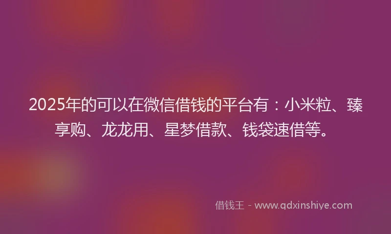 2025年的可以在微信借钱的平台有：小米粒、臻享购、龙龙用、星梦借款、钱袋速借等。