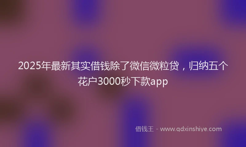 2025年最新其实借钱除了微信微粒贷，归纳五个花户3000秒下款app