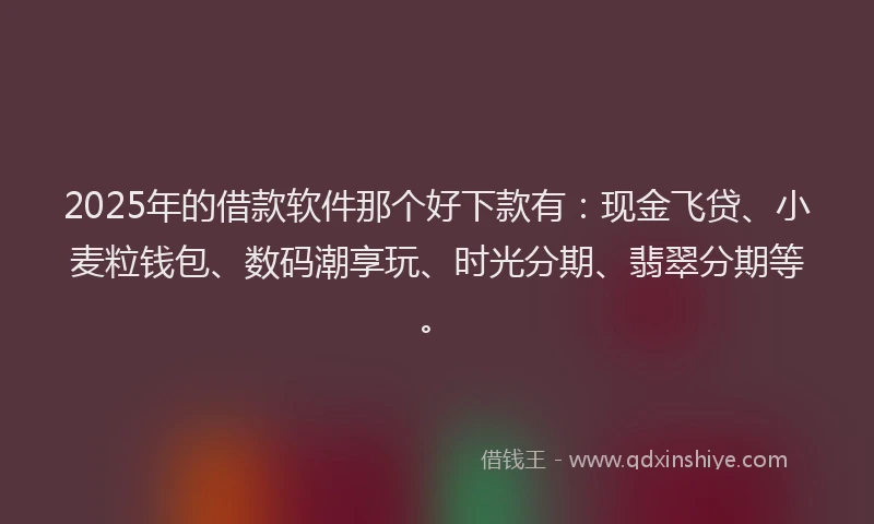 2025年的借款软件那个好下款有：现金飞贷、小麦粒钱包、数码潮享玩、时光分期、翡翠分期等。