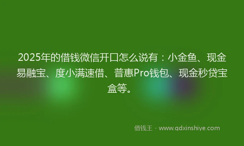 2025年的借钱微信开口怎么说有：小金鱼、现金易融宝、度小满速借、普惠Pro钱包、现金秒贷宝盒等。