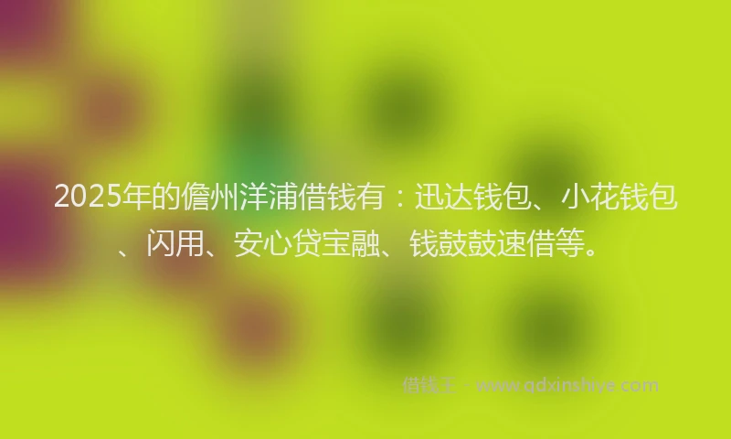 2025年的儋州洋浦借钱有：迅达钱包、小花钱包、闪用、安心贷宝融、钱鼓鼓速借等。