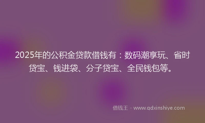 2025年的公积金贷款借钱有：数码潮享玩、省时贷宝、钱进袋、分子贷宝、全民钱包等。