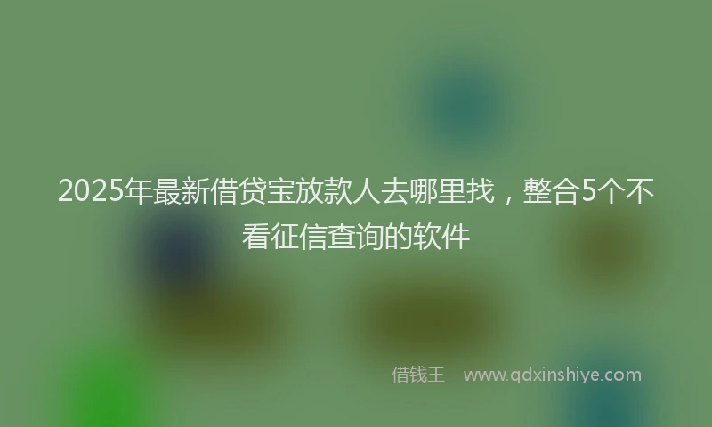 2025年最新借贷宝放款人去哪里找，整合5个不看征信查询的软件