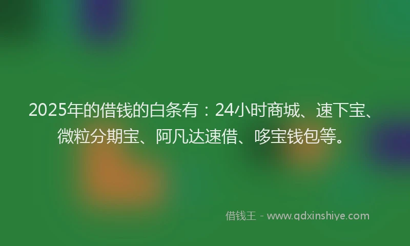 2025年的借钱的白条有：24小时商城、速下宝、微粒分期宝、阿凡达速借、哆宝钱包等。