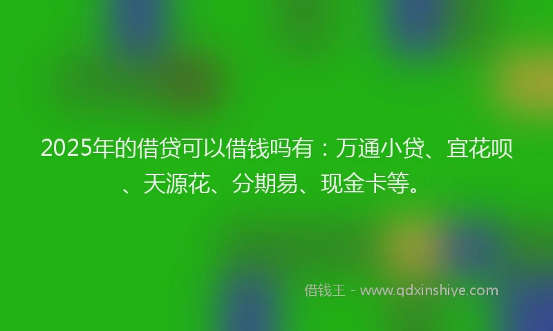 2025年的借贷可以借钱吗有：万通小贷、宜花呗、天源花、分期易、现金卡等。