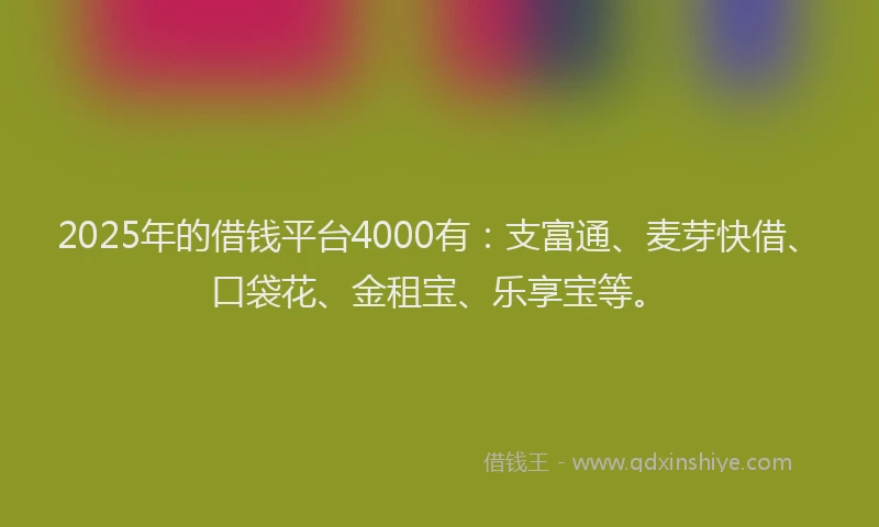 2025年的借钱平台4000有：支富通、麦芽快借、口袋花、金租宝、乐享宝等。