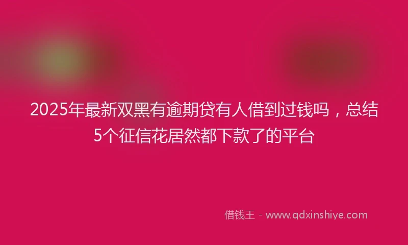 2025年最新双黑有逾期贷有人借到过钱吗，总结5个征信花居然都下款了的平台