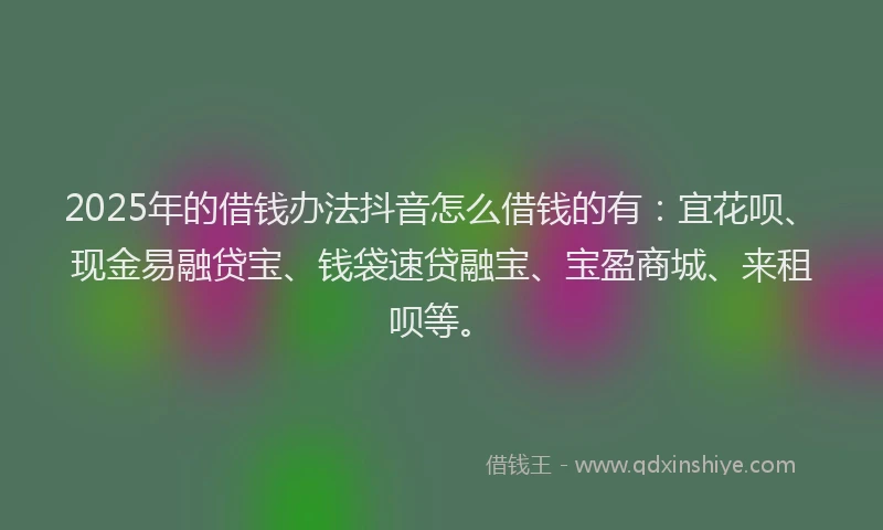 2025年的借钱办法抖音怎么借钱的有：宜花呗、现金易融贷宝、钱袋速贷融宝、宝盈商城、来租呗等。