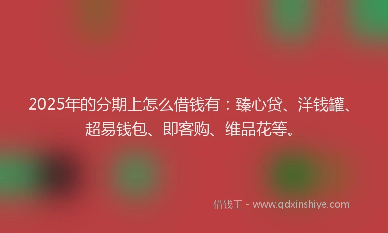 2025年的分期上怎么借钱有：臻心贷、洋钱罐、超易钱包、即客购、维品花等。