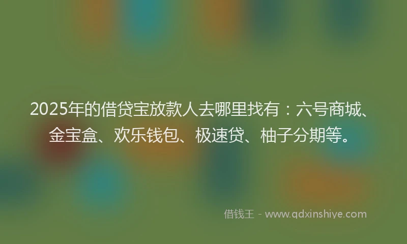 2025年的借贷宝放款人去哪里找有：六号商城、金宝盒、欢乐钱包、极速贷、柚子分期等。
