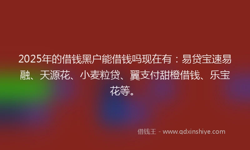 2025年的借钱黑户能借钱吗现在有：易贷宝速易融、天源花、小麦粒贷、翼支付甜橙借钱、乐宝花等。