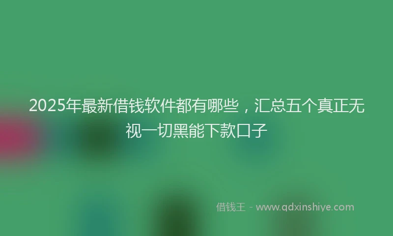 2025年最新借钱软件都有哪些，汇总五个真正无视一切黑能下款口子