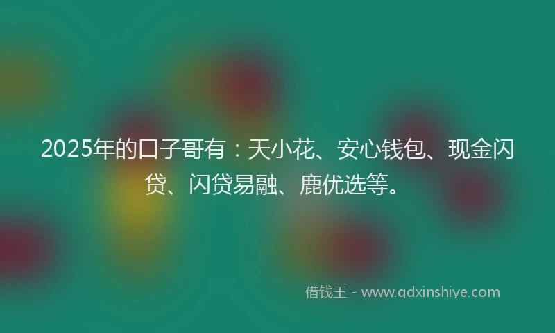 2025年的口子哥有：天小花、安心钱包、现金闪贷、闪贷易融、鹿优选等。