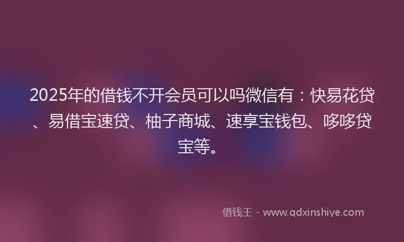 2025年的借钱不开会员可以吗微信有：快易花贷、易借宝速贷、柚子商城、速享宝钱包、哆哆贷宝等。
