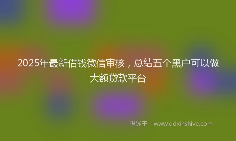 2025年最新借钱微信审核，总结五个黑户可以做大额贷款平台
