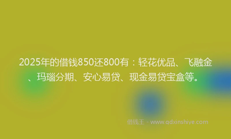 2025年的借钱850还800有：轻花优品、飞融金、玛瑙分期、安心易贷、现金易贷宝盒等。