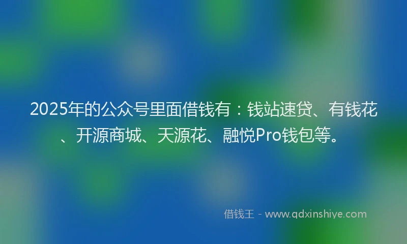2025年的公众号里面借钱有：钱站速贷、有钱花、开源商城、天源花、融悦Pro钱包等。