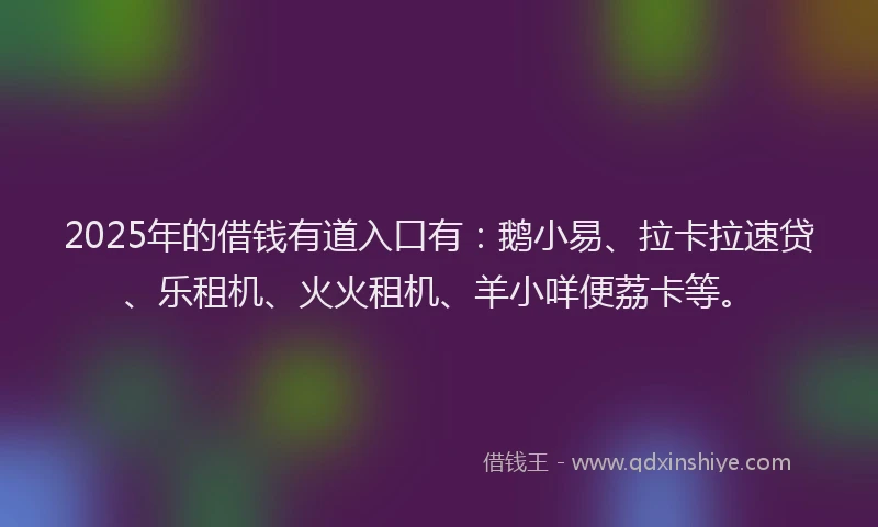 2025年的借钱有道入口有：鹅小易、拉卡拉速贷、乐租机、火火租机、羊小咩便荔卡等。