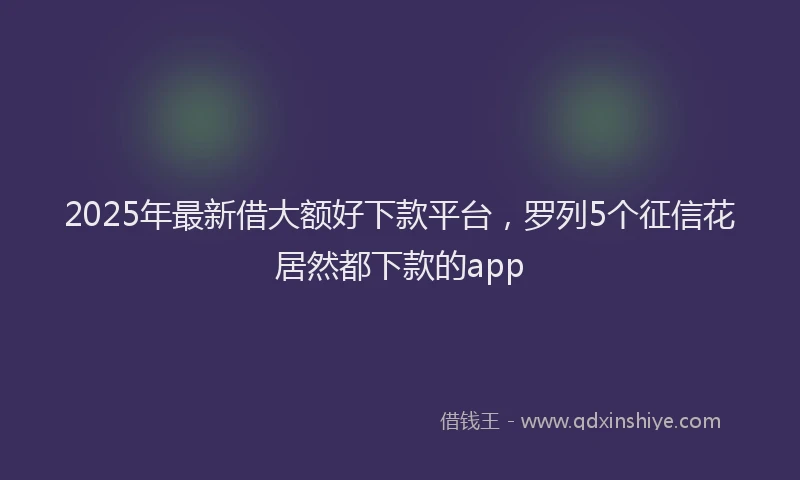 2025年最新借大额好下款平台，罗列5个征信花居然都下款的app
