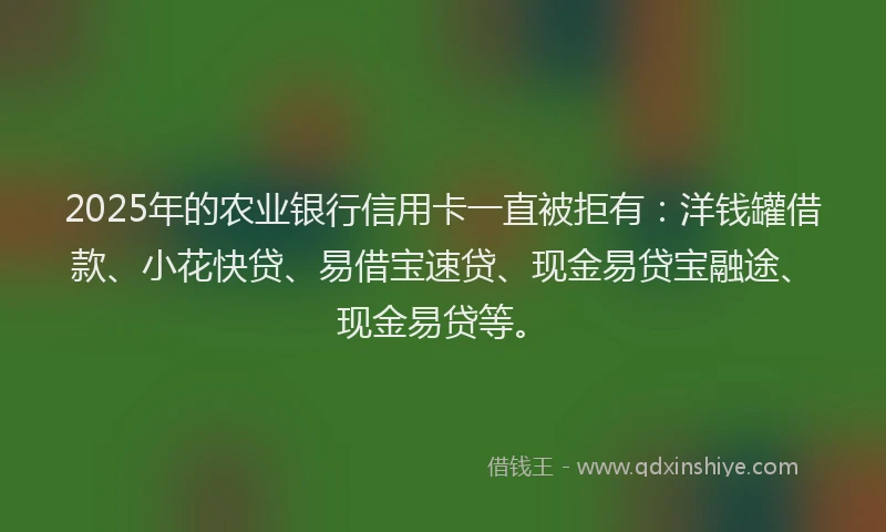 2025年的农业银行信用卡一直被拒有：洋钱罐借款、小花快贷、易借宝速贷、现金易贷宝融途、现金易贷等。