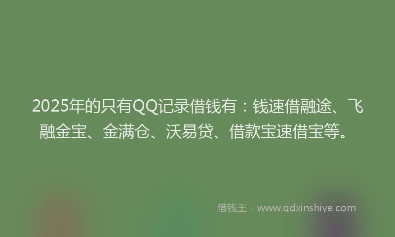 2025年的只有QQ记录借钱有：钱速借融途、飞融金宝、金满仓、沃易贷、借款宝速借宝等。