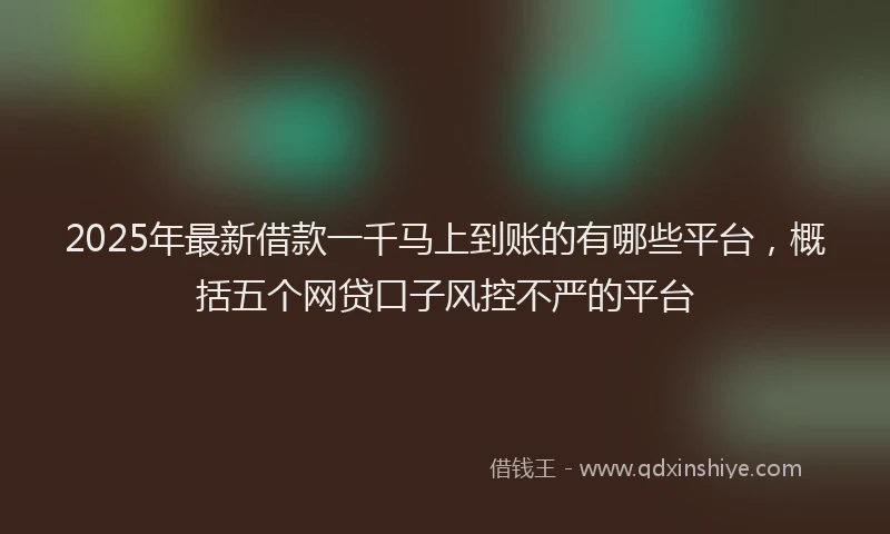 2025年最新借款一千马上到账的有哪些平台，概括五个网贷口子风控不严的平台