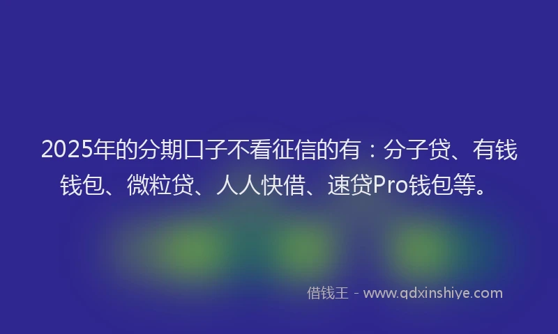 2025年的分期口子不看征信的有：分子贷、有钱钱包、微粒贷、人人快借、速贷Pro钱包等。