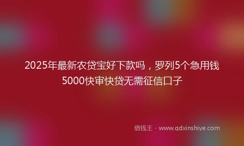 2025年最新农贷宝好下款吗，罗列5个急用钱5000快审快贷无需征信口子