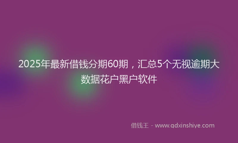 2025年最新借钱分期60期，汇总5个无视逾期大数据花户黑户软件