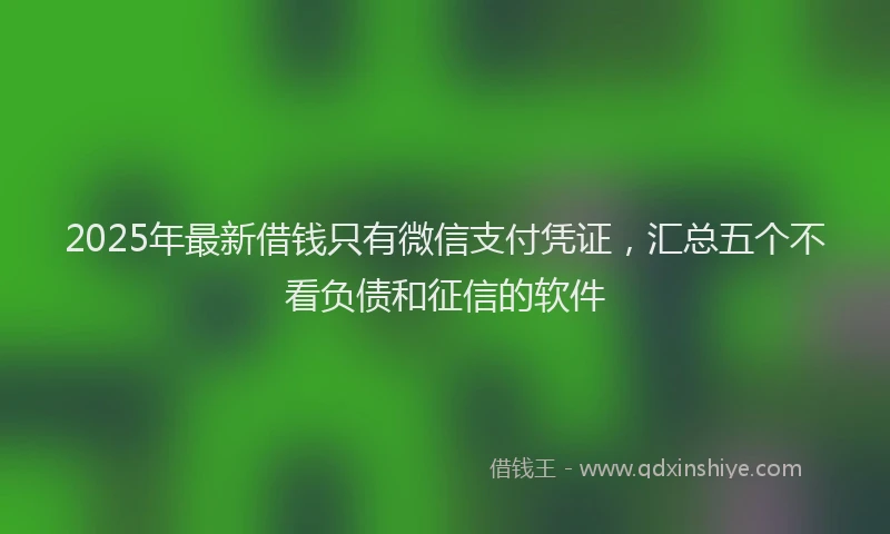 2025年最新借钱只有微信支付凭证，汇总五个不看负债和征信的软件
