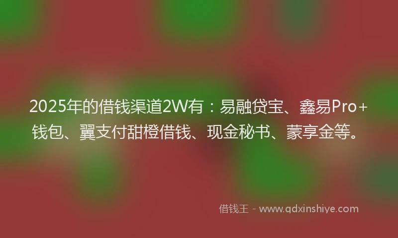 2025年的借钱渠道2W有：易融贷宝、鑫易Pro+钱包、翼支付甜橙借钱、现金秘书、蒙享金等。