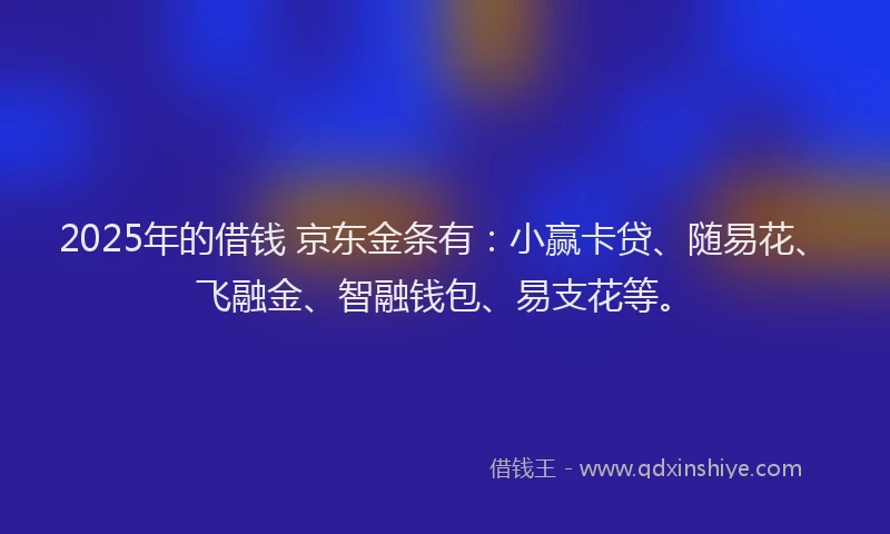 2025年的借钱 京东金条有：小赢卡贷、随易花、飞融金、智融钱包、易支花等。