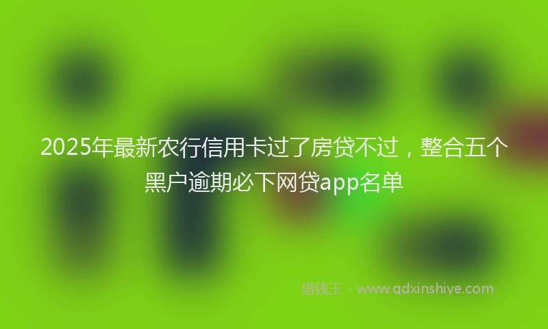 2025年最新农行信用卡过了房贷不过，整合五个黑户逾期必下网贷app名单