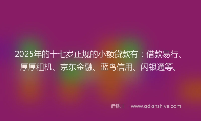 2025年的十七岁正规的小额贷款有：借款易行、厚厚租机、京东金融、蓝鸟信用、闪银通等。