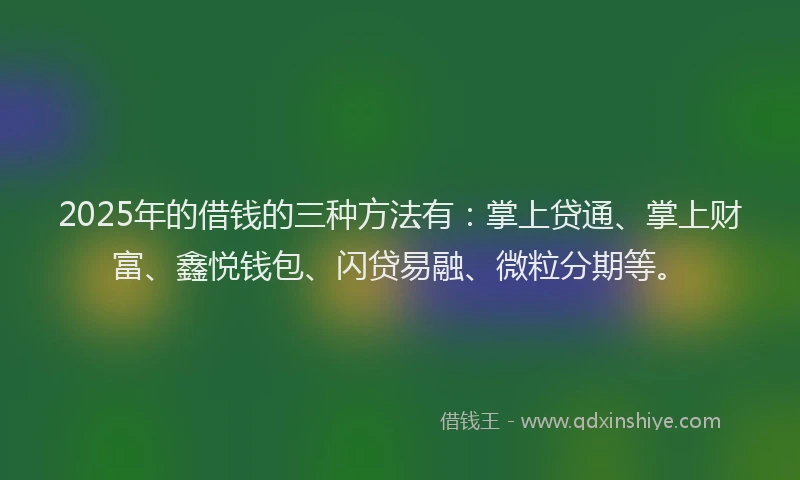 2025年的借钱的三种方法有：掌上贷通、掌上财富、鑫悦钱包、闪贷易融、微粒分期等。