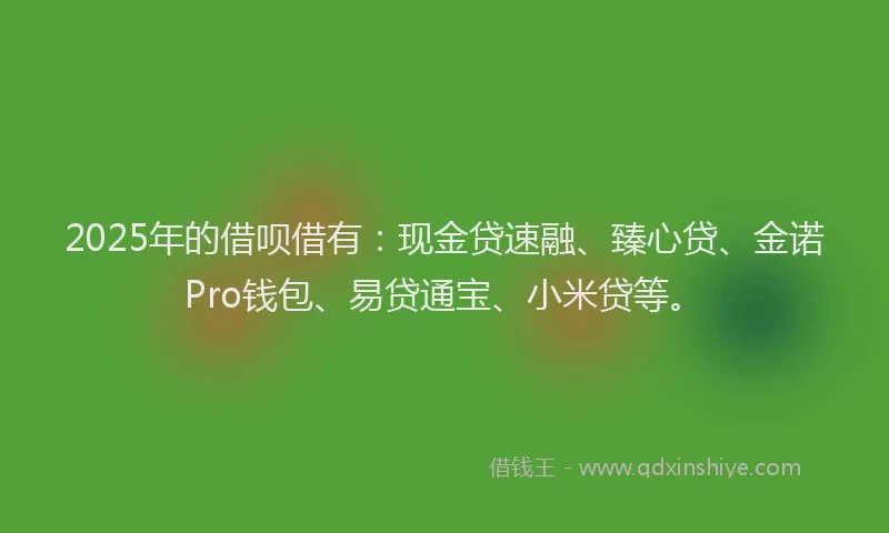 2025年的借呗借有：现金贷速融、臻心贷、金诺Pro钱包、易贷通宝、小米贷等。