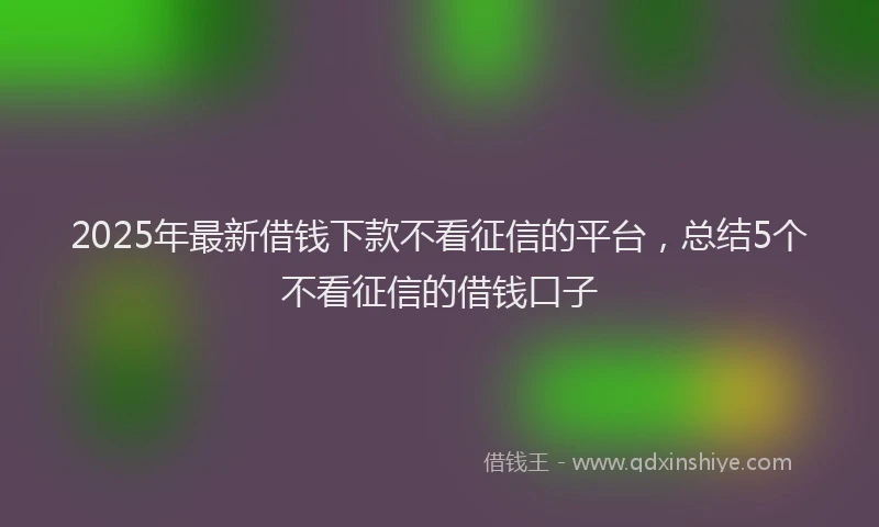 2025年最新借钱下款不看征信的平台，总结5个不看征信的借钱口子