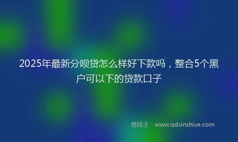 2025年最新分呗贷怎么样好下款吗，整合5个黑户可以下的贷款口子