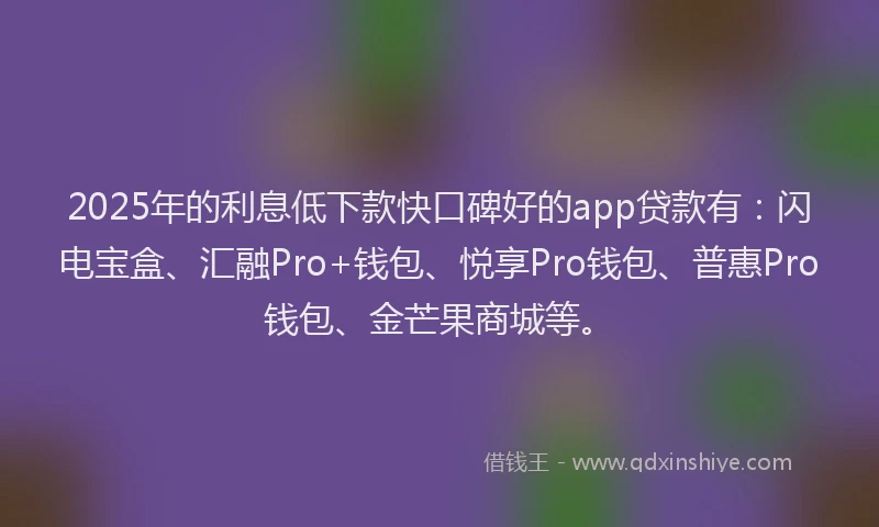 2025年的利息低下款快口碑好的app贷款有：闪电宝盒、汇融Pro+钱包、悦享Pro钱包、普惠Pro钱包、金芒果商城等。