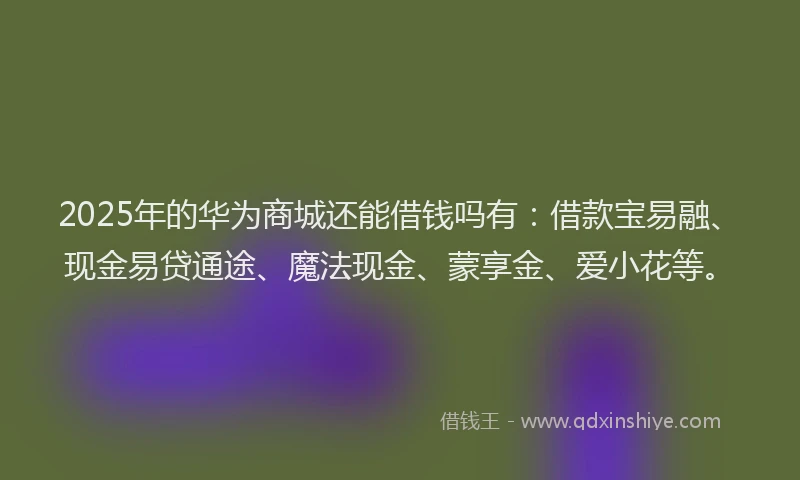 2025年的华为商城还能借钱吗有：借款宝易融、现金易贷通途、魔法现金、蒙享金、爱小花等。