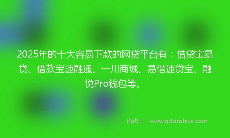 2025年的十大容易下款的网贷平台有：借贷宝易贷、借款宝速融通、一川商城、易借速贷宝、融悦Pro钱包等。
