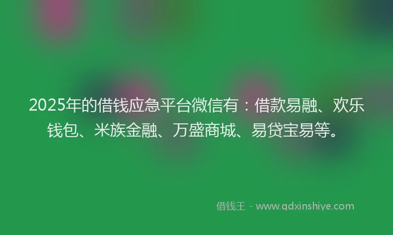 2025年的借钱应急平台微信有：借款易融、欢乐钱包、米族金融、万盛商城、易贷宝易等。