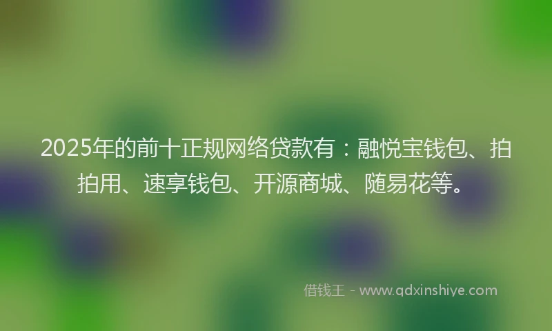 2025年的前十正规网络贷款有：融悦宝钱包、拍拍用、速享钱包、开源商城、随易花等。