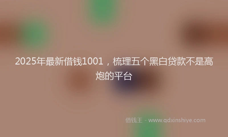 2025年最新借钱1001，梳理五个黑白贷款不是高炮的平台