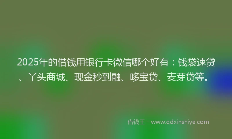 2025年的借钱用银行卡微信哪个好有：钱袋速贷、丫头商城、现金秒到融、哆宝贷、麦芽贷等。