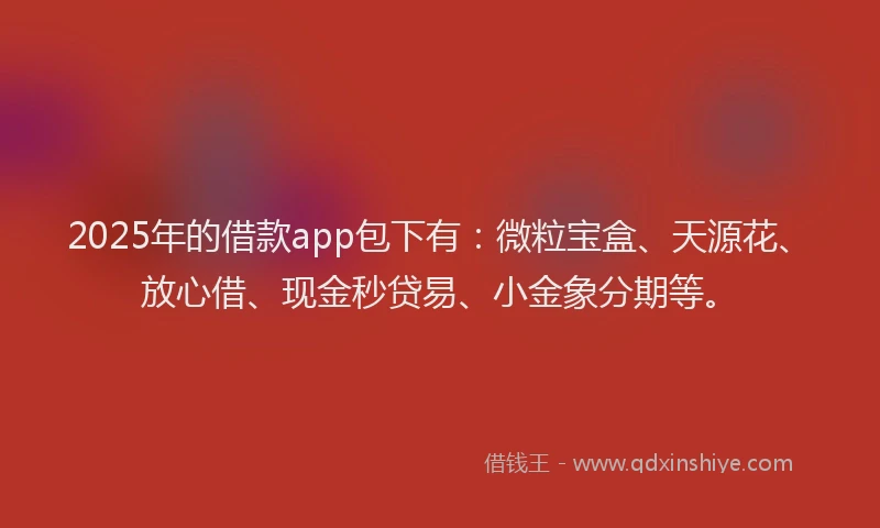 2025年的借款app包下有：微粒宝盒、天源花、放心借、现金秒贷易、小金象分期等。
